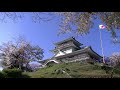 【城の日】癒しのための続日本100名城のお花見動画46分【小牧山城】