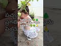 పచ్చని చెట్లు ప్రగతికి మెట్లు 🌳🌴save a tree shortvideos trees gives for free oxygen don t cut the