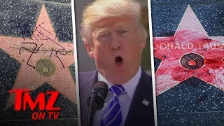 Donald Trump's Hollywood Walk of Fame Star Doused with Fake Blood | TMZ TV