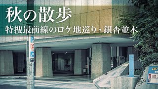 【秋の散歩】特捜最前線のロケ地巡りと銀杏並木