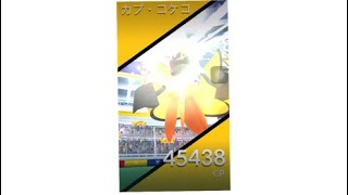 ポケモンGOレイドバトルカプコケコ9人攻略ゲットできたのかな？ ［ポケモンGO］