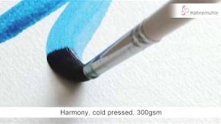 Hahnemühle Harmony cold pressed 300 gsm