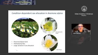 Sex ratios, sex allocation and transitions between hermaphroditism and dioecy