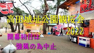 【高田城址公園観桜会2022】3/26開幕 強風の為 ライトアップ・花火・露店など、すべて中止順延です。朝の様子