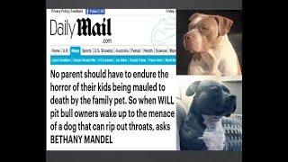 Responding to Bethany S. Mandel's Comments On Bully Breeds