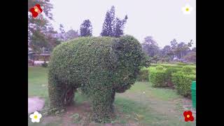 Balurghat Beltala Park