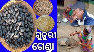 ଗୁଜୁରୀ ଗେଣ୍ଡା ତରକାରୀ //Gujuri Genda Curry