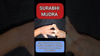 Surabhi mudra 🍀🧘🏻‍♀️| Ms Kajal | #yogawithmskajal #healthyliver #astrology #yogamudra #om #trending