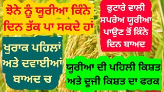 ਝੋਨੇ ਨੂੰ ਪਹਿਲੇ 50 ਦਿਨ ਤੱਤਾਂ ਭਰਪੂਰ ਖੁਰਾਕ ਦਿਉ, ਦਵਾਈਆਂ ਤੇ ਨਾ ਲਾਉ, ਫਾਲਤੂ ਖਰਚ ਬਚਾਉ Paddy first 50 days