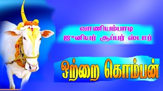 Vaniyambadi junior Super star Kattukanallur street || வாணியம்பாடி ஜூனியர் சூப்பர் ஸ்டார்