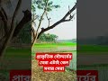 কি এক গ্রাম এটাই সবার সেরা village funny motivation shorts environment ideas short