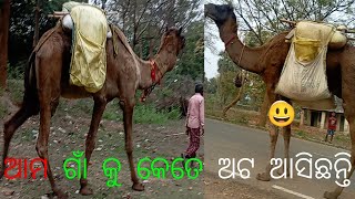 ଅଟ ର ଗଡ଼ କୁ ପ୍ରଭୁ କେମିତି ତିଆରି କରିଛନ୍ତି ମରୁଭୂମି ରେ ରହିବା ପାଇଁ ?