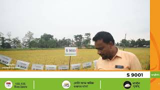 paddy S 9001 testimonials videos ##syngenta#