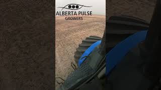 Alberta Pulse Growers Lentil Seeding #agriculture #alberta #farming #lentils #pulses #plant24