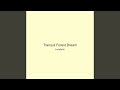 Tranquil Forest Dream