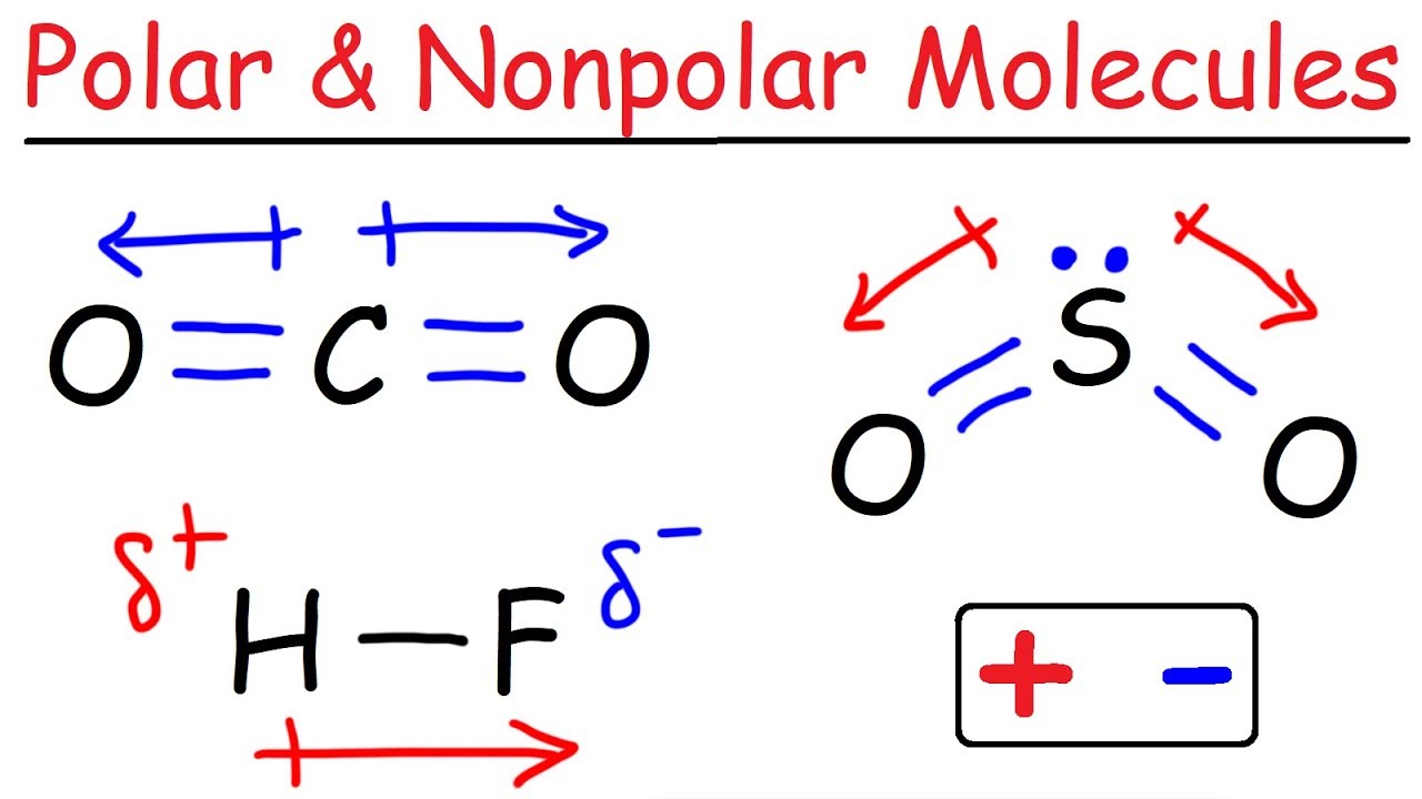 Polar And Nonpolar Molecules - YouTube