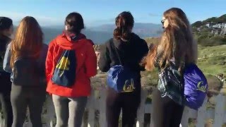 UC Berkeley. Year One.