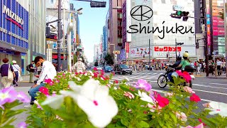 【東京散歩】新宿通り 思い出横丁 昼飲み 4K Tokyo Shinjuku street Memories Yokocho