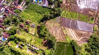 6019 Sqm Hak Milik Land For Sale In Canggu