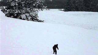 Skiing In Back Paddock Patoka