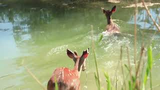 湿地粮仓 Wetland Granary. Chinesespirits, special yanghe baijiu mellow culture, good drink!