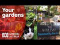 Your gardens of 2020 | Garden design and inspiration | Gardening Australia