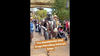 The Mandalorian And Grogu Patrolling Galaxys Edge | Disneyland