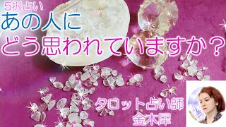 🐾仔猫ノア🐾【タロット占い５択】あのとにどう思われていますか？