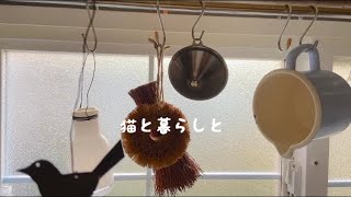 【暮らしを楽しむvlog】あったかおでん/子猫の遊び/水玉着物