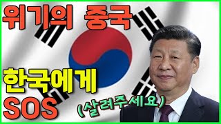 한국에게 도움요청하는 중국. 콧대높던 중국이 한국에 저자세로 나오는 이유  [ 해외반응, 중국반응, 한국전쟁 ]