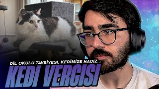 Videoyun - Kedimizin Vergi Borcu Yüzünden Evimize Haciz Geliyordu... Dil Okulu Anıları ve Tavsiyesi