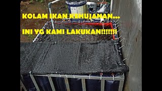 Perawatan Kolam Ikan di Saat Musim Hujan