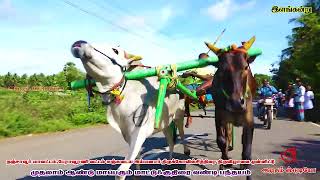 இளங்கன்று -சேதுபாவாசத்திரம் முதலாம் ஆண்டு மாட்டுவண்டி குதிரை வண்டி பந்தயம் 14/04/2020