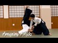 Amaizing Aikido Training - Hiroaki Sato