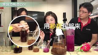 【莉莉安健康說】康普茶Kombucha在家自己做DIY教學｜紅茶醋 | 貴婦飲料 | 恐怖茶