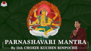 PARNASHAWARI MANTRA_MẬT CHÚ DIỆP Y PHẬT MẪU_ BY CHOEZE KUCHEN RINPOCHE_30MINS