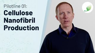 Efficient industrial use of Cellulose NanoFibril
