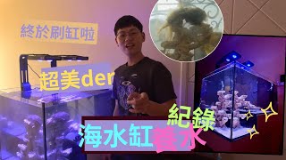 海水缸養水結束啦! 刷缸,鋪沙樣樣來?成果超美Der!! #珊瑚缸 #爆藻期 #小丑魚