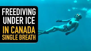 Freediving Under Ice in Canada | Single Breath