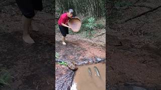 Chellanam fishing, bass fishing, chellanam #trending #fishing #funny