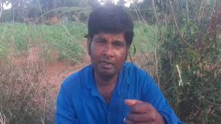 டேய் மவனே குடிக்காதடா தர்மபுரி வெங்கடேசன் காமெடி #short #comedy #dharmapuri