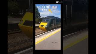 Some of the class 43s ive seen one with the intercity 125 livery