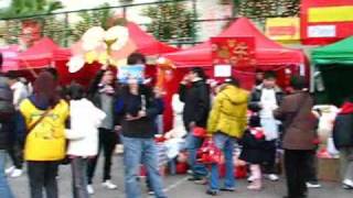 Flower Show at Chinese New Year in Tai Po - 大埔花市(2009)