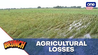 Brunch | DA logs P107-M agri losses due to Ferdie, ‘habagat’