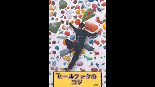 ヒールフック#shorts #ボルダリング #クライミング #ボルダリング女子 #climbing #bouldering #ダイエット #筋トレ #