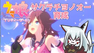 【#ウマ娘/サクラチヨノオー】にんじん食して天命を待つ サクラチヨノオー初見育成配信【#vtuber 二ノ又宗旦】