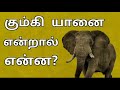 கும்கி யானை என்றால் என்ன meaning of kumki elephant