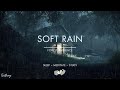 Soft Rain On Forest Road | No Ads | Soothing Rain Sounds For Sleeping