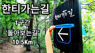 [등산] 한티가는길 1구간 '돌아보는길' 10.5 Km