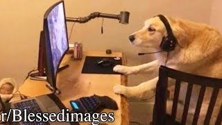 r/Blessedimages | the most wholesome subreddit